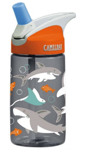 CamelBak water bottle